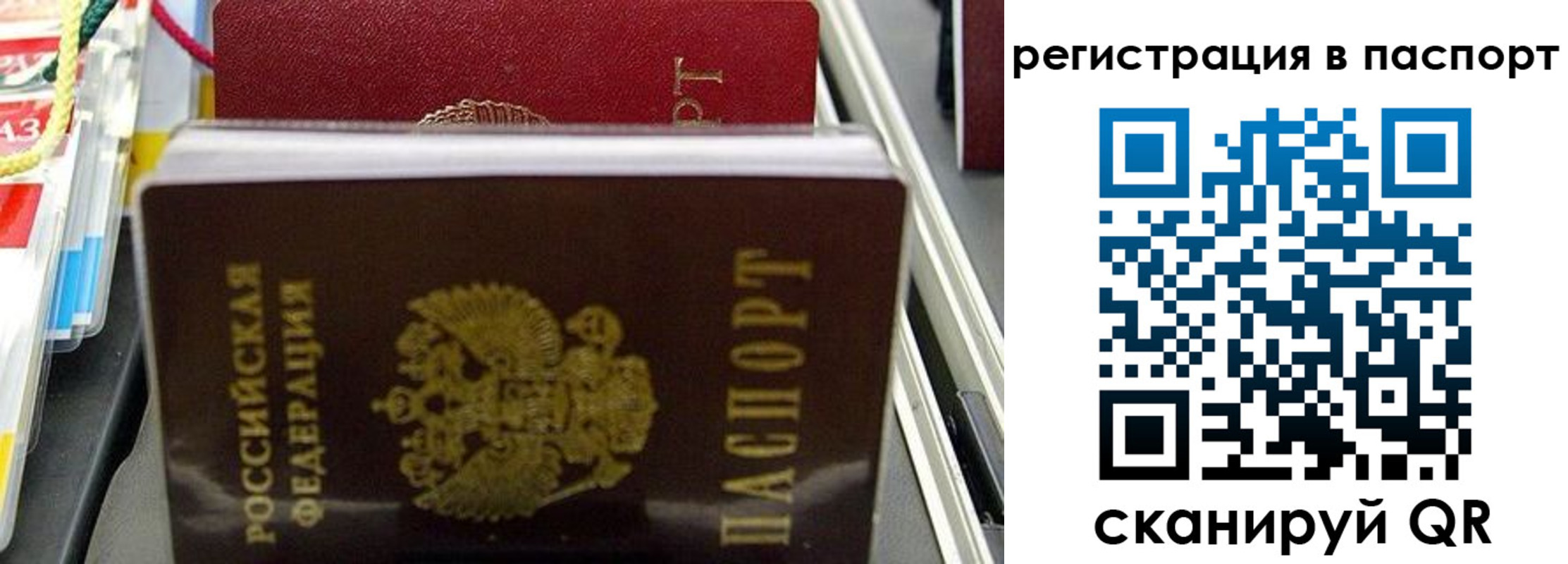 прописка для школы в Клине